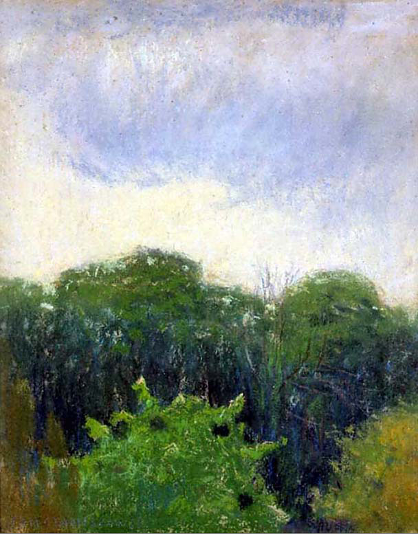 Green Scrub